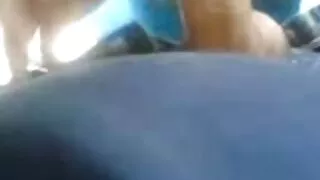 Une salope transexuelle sans vergogne se fait baiser en porno gratuit youtube levrette