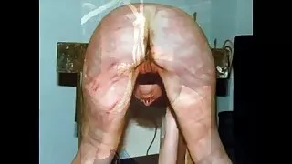Salope tatouée Mila Treasure fait une pipe perfect porno gratuit