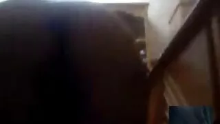 Salope aux faux seins pénétrée dans son anus serré en position de levrette films pornos grosses femmes